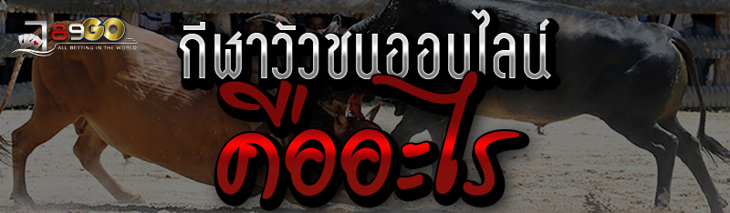 กีฬาวัวชนออนไลน์ คืออะไร 