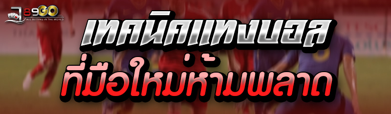 เทคนิคแทงบอล ที่มือใหม่ห้ามพลาด 